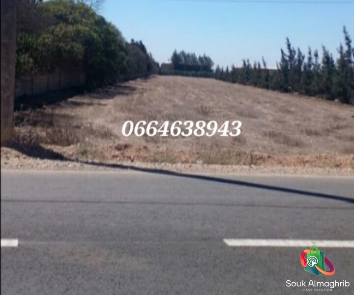 أرض محفظة للبيع بمديونة بالبيضاء - Annonce au Maroc سوق المغرب