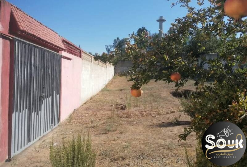 أرض بسكن للبيع في جماعة عرباوة 6 - Souk Maroc